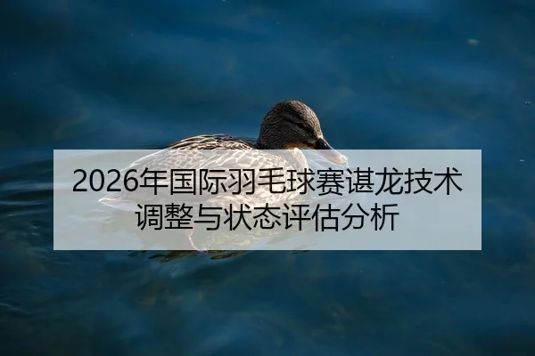 2026年国际羽毛球赛谌龙技术调整与状态评估分析