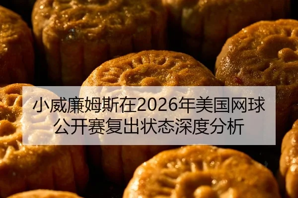 小威廉姆斯在2026年美国网球公开赛复出状态深度分析