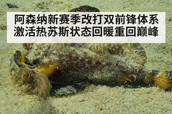 阿森纳新赛季改打双前锋体系激活热苏斯状态回暖重回巅峰